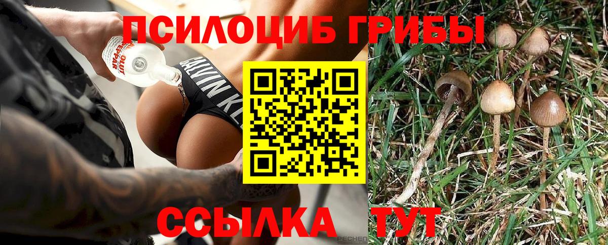 Псилоцибиновые грибы GOLDEN TEACHER Дубна